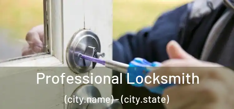 Professional Locksmith (city.name) - (city.state)